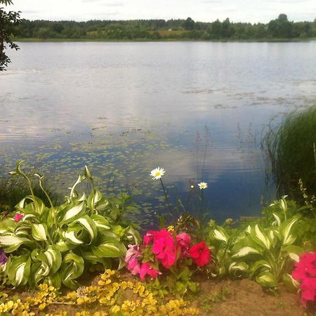 Dvinumajas Villa Balvi Kültér fotó
