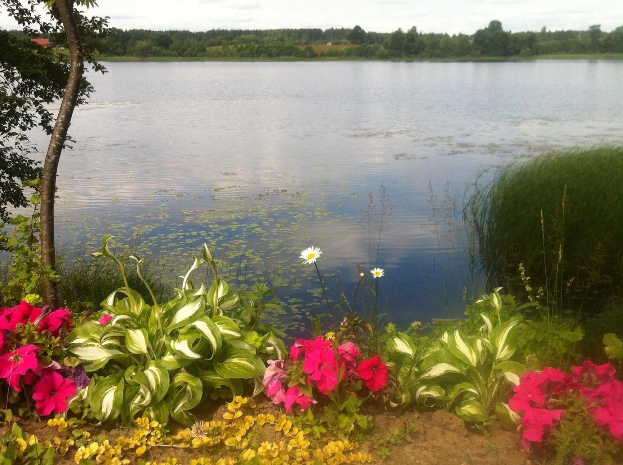 Dvinumajas Villa Balvi Kültér fotó