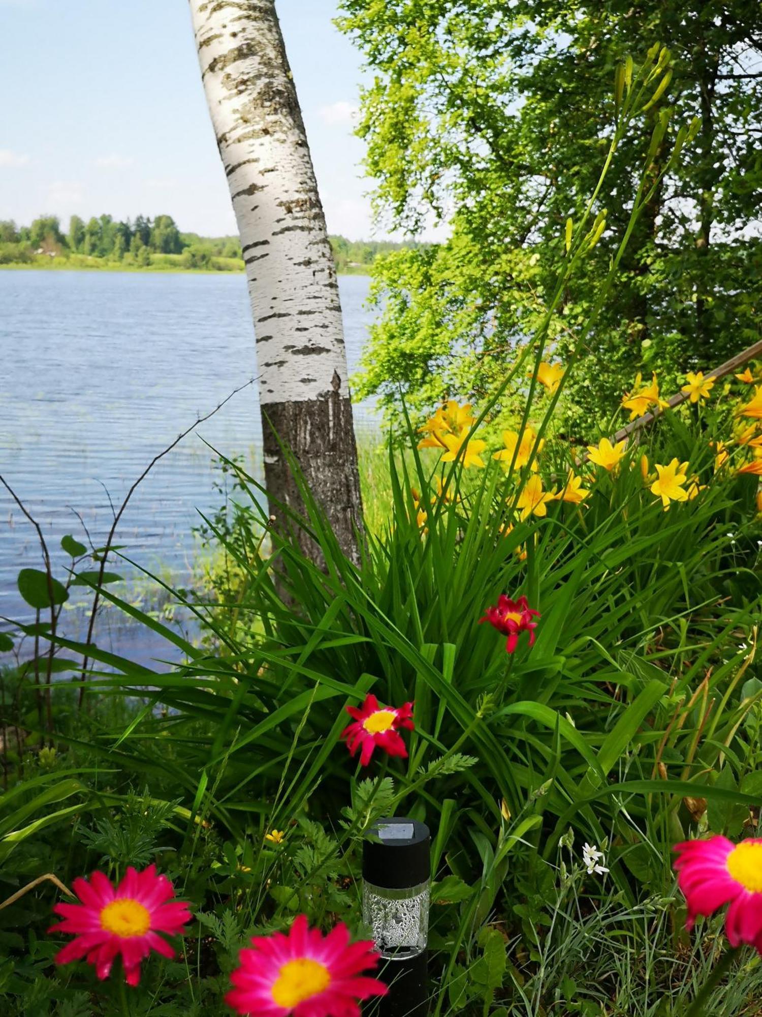 Dvinumajas Villa Balvi Kültér fotó