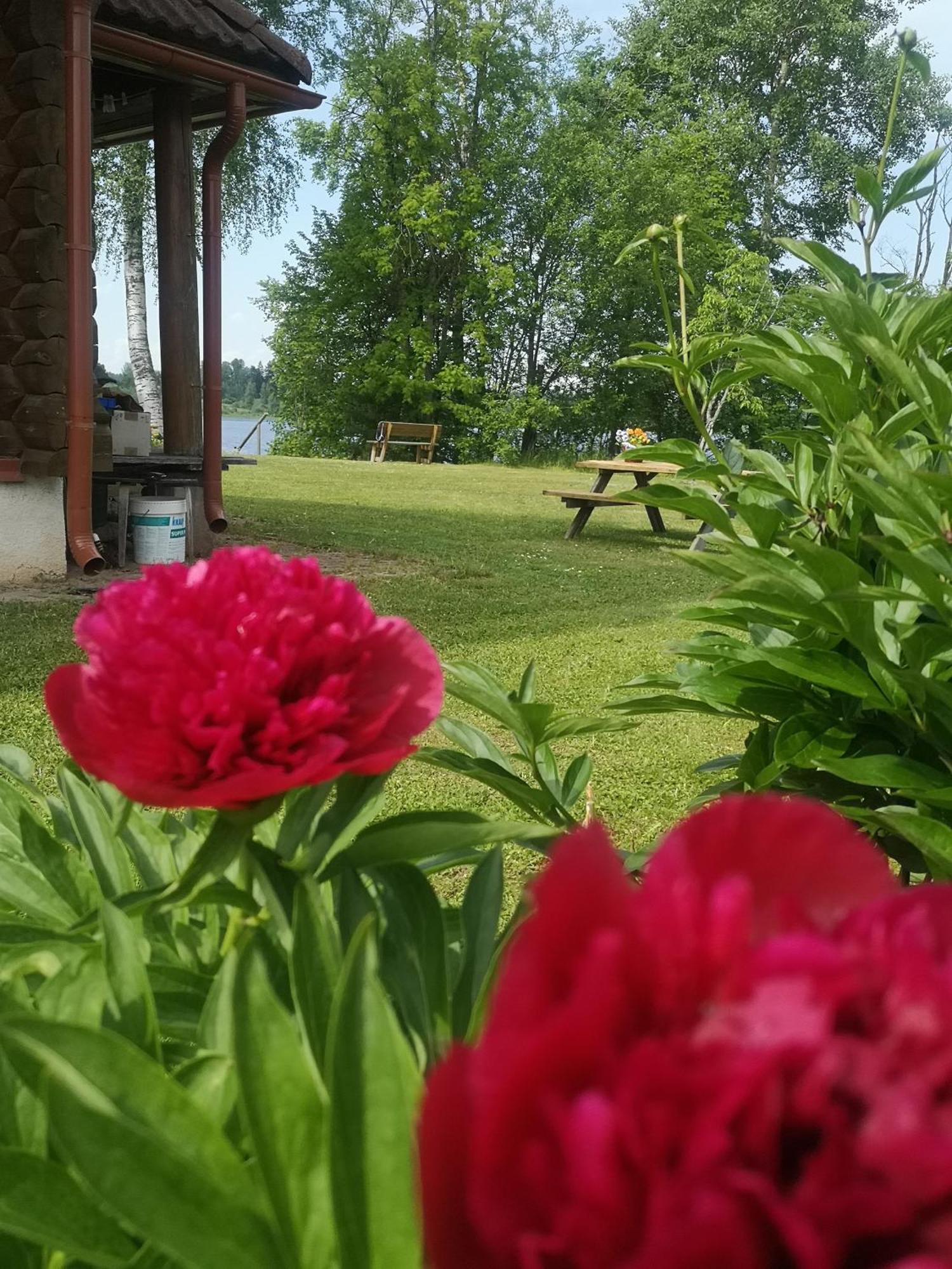 Dvinumajas Villa Balvi Kültér fotó